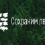 Архангельская область готовится к Всероссийской акции «Сохраним лес» - Сетевое издание Каргополье