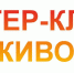 Приглашаем на мастер-классы - Каргопольский музей