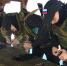 В Архангельске прошла военно-спортивная игра «Арктический юнармеец» - Сетевое издание Каргополье