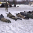 Жителей Поморья приглашают на военную службу по контракту - Сетевое издание Каргополье